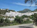 Casares